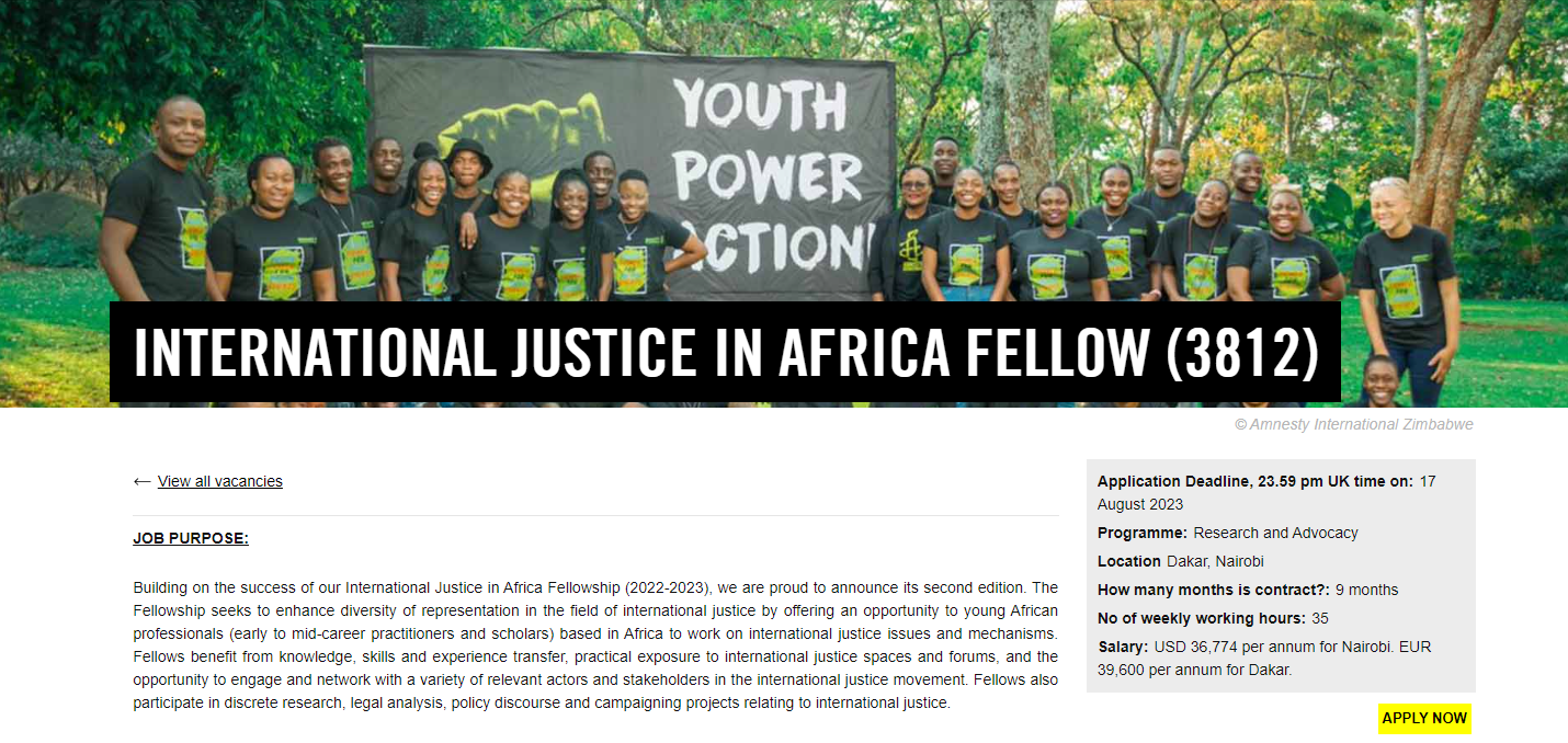 Amnesty International Justice In Africa Fellowship (African Professionals)