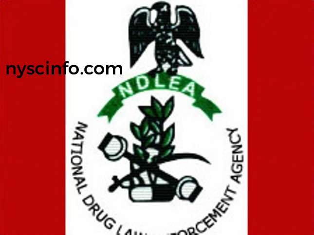 Apply for NDLEA Federal Government Recruitment 2019