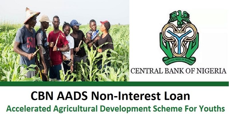 How To Apply For CBN Agricultural Development Scheme (AADS) Loan