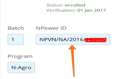 How to Check your Npower ID Number