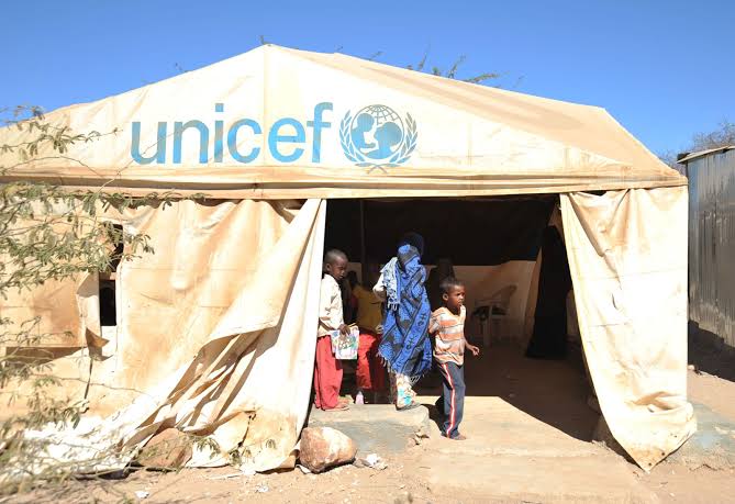 UNICEF and Its Functions In Nigeria