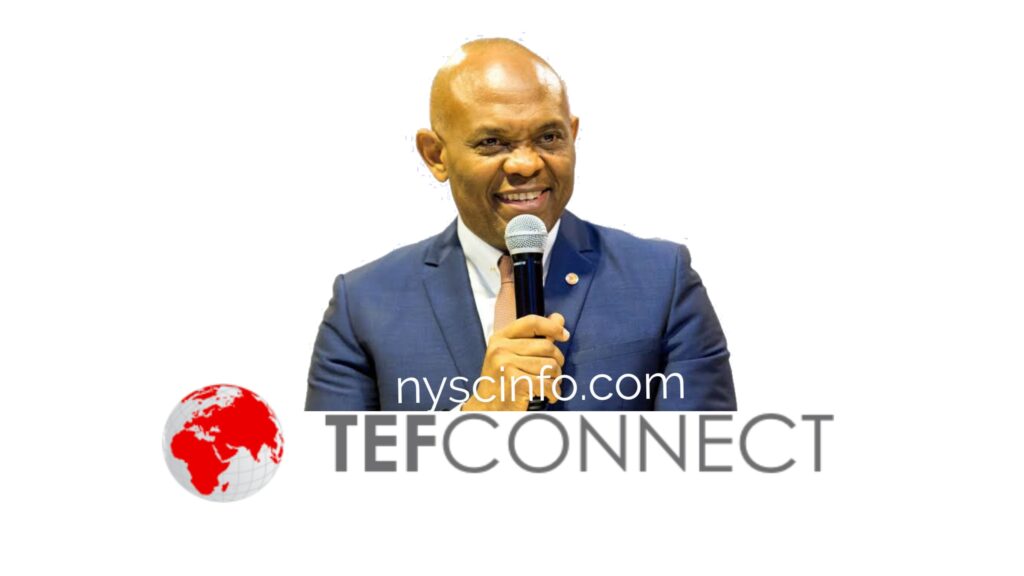 Tony Elumelu Foundation Entrepreneurship Program (TEFEP)