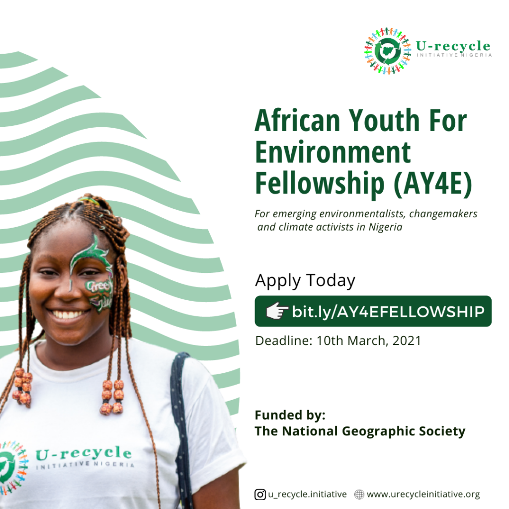 How to Apply for African Youth For Environment Fellowship