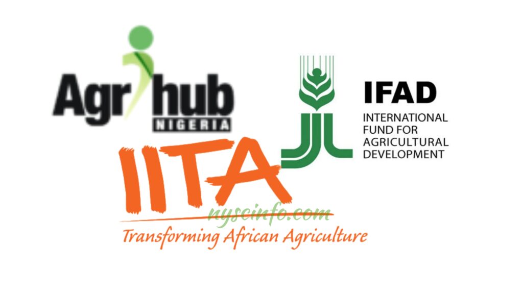 How to apply for IITA/IFAD Agrihub 2021 Project for Nigerian Youths