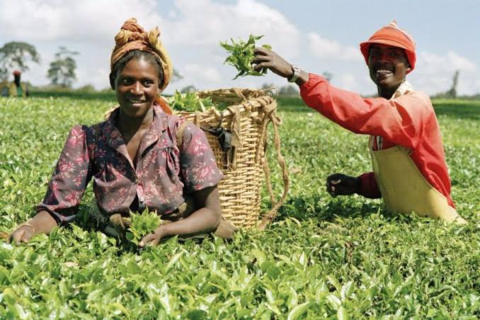 How to Get Loan for Farmers in Nigeria