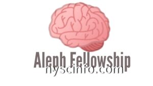 How to Apply for Aleph Fellowship for Young Nigerians 2021