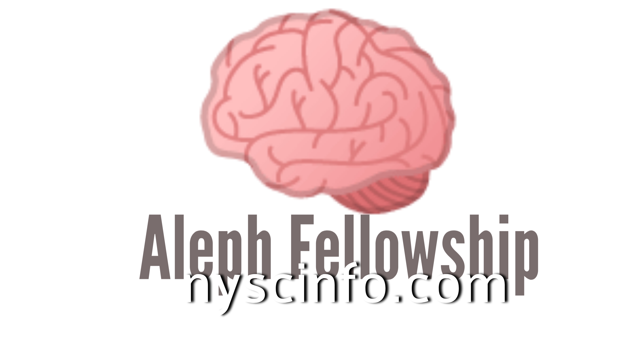 How to Apply for Aleph Fellowship for Young Nigerians 2021