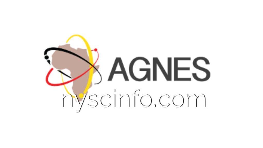 AGNES Grants For Intra-African Mobility Young Researchers