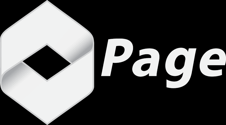 page financials loan