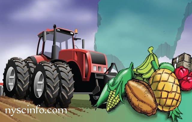 profitable Agric businesses in Nigeria