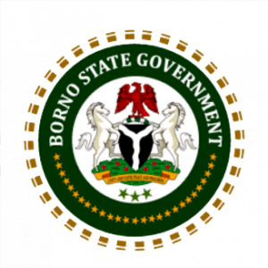 Borno State Scholarship Program