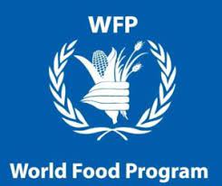 UN WFP Internship Programme