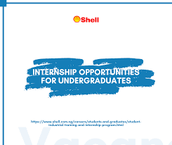 Shell Undergraduate Industrial Training