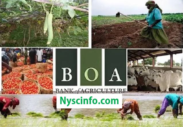 BOA Agric & Non-Agric Loans