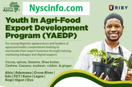 YAEDP Nigerian Youth