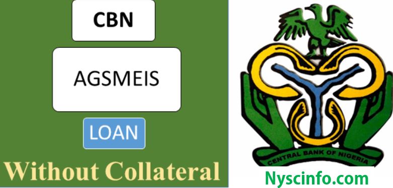 CBN Loan Without Collateral