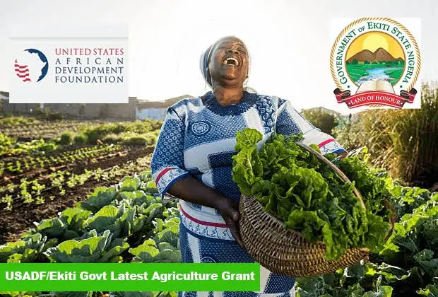 USADF/Ekiti Govt Agriculture