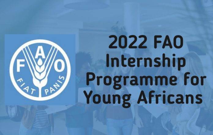 FAO 2022 Internship Programme