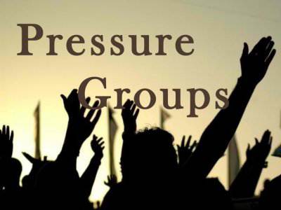 Pressure Groups In Nigeria