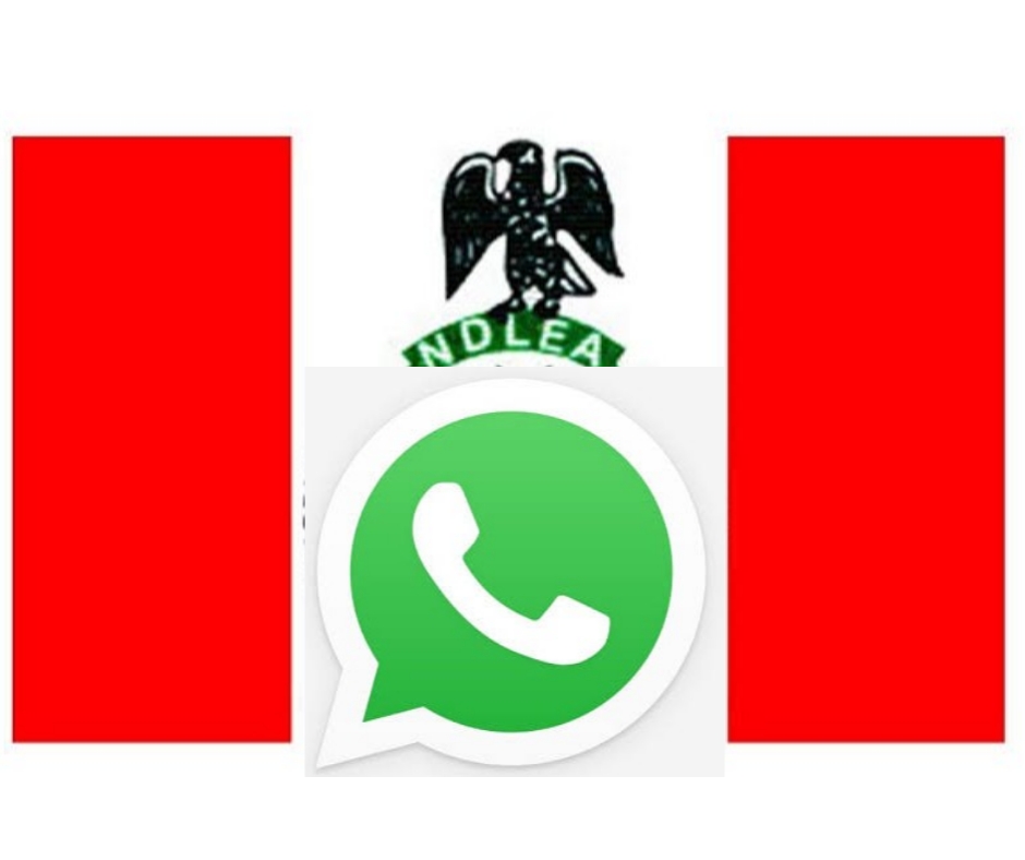 NDLEA WhatsApp Group