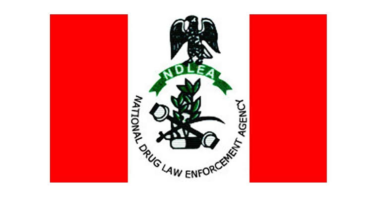 NDLEA Recruitment Portal 2023