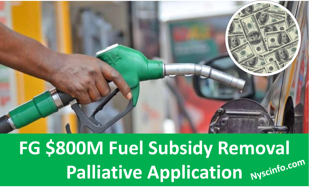 FG $800M Fuel Subsidy Removal Palliative (Application Process ...