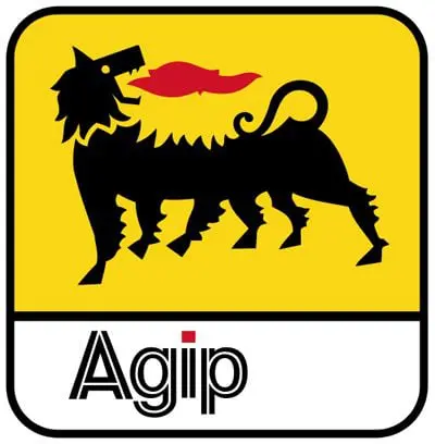 Nigerian Agip Exploration Limited