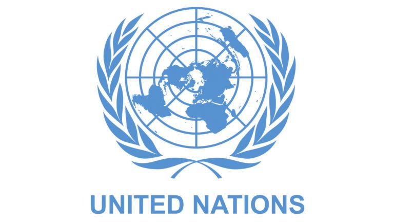 Internship With The United Nations