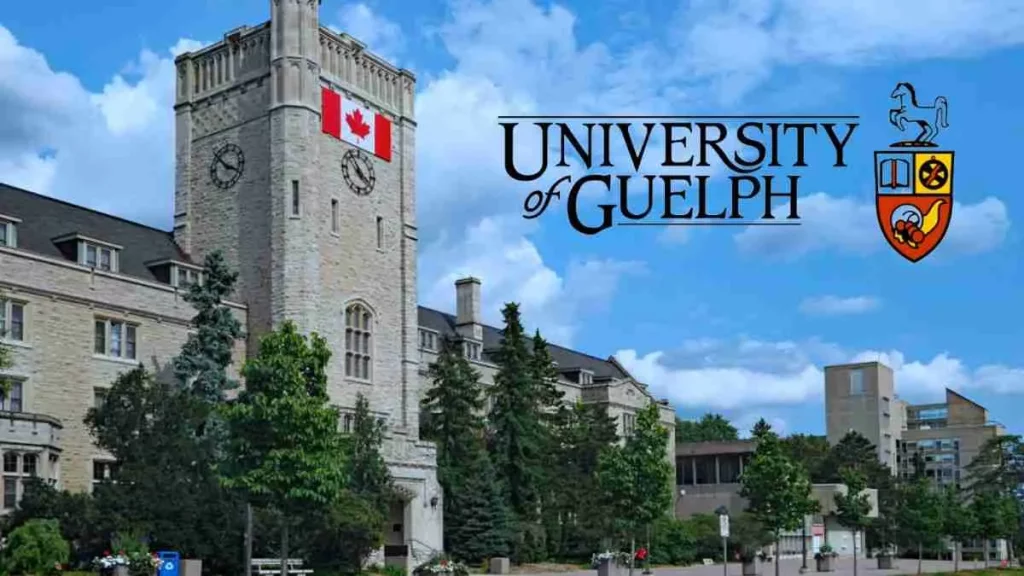 University Of Guelph Commonwealth Undergraduate Scholarships