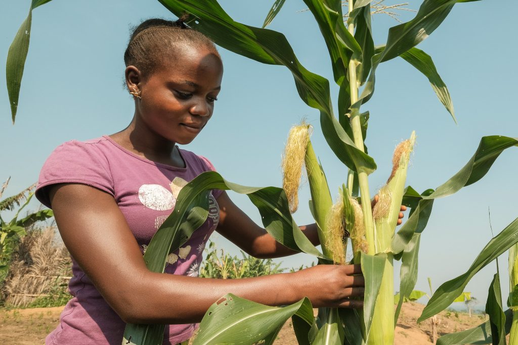 Entrepreneurship On Food Security