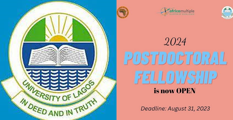 African Cluster Centre Postdoctoral Fellowship