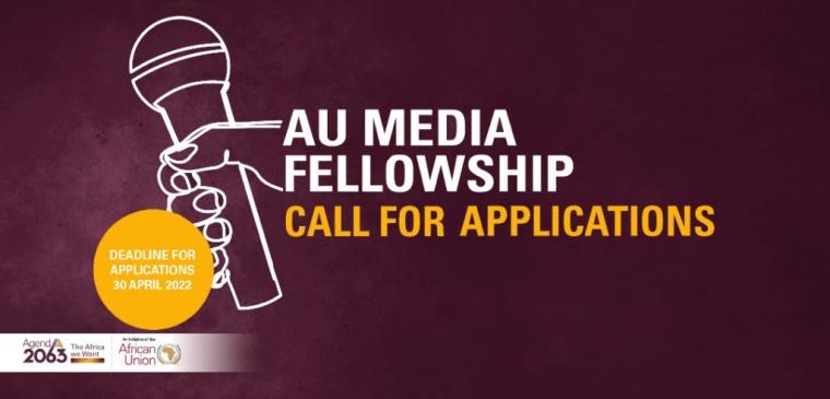 African Union Media Fellowship