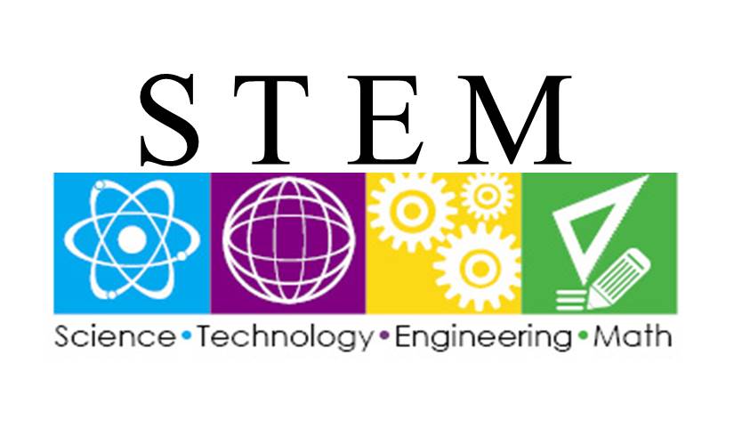 STEM Courses To Study In The U.S