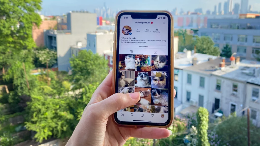 How to Download Instagram Photos