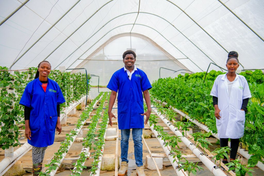 Mastercard Foundation Enterprise For Youths In Agriculture